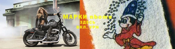 гидра Алзамай