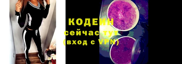 крисы Абаза