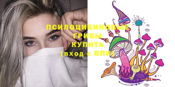 гидра Алзамай