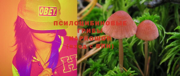 крисы Абаза