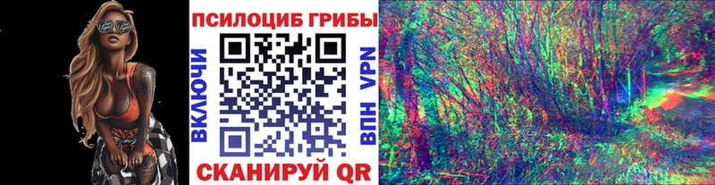 наркота  Керчь  Галлюциногенные грибы мухоморы 